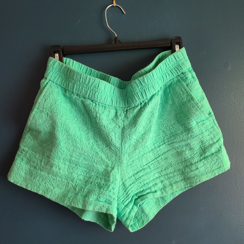 JCrew Teal Shorts - Size 6